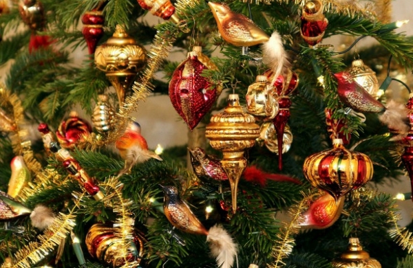 <br />
Ученые рассказали, как заработать на новогодних елках<br />
