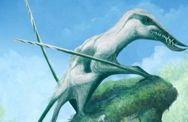 <br />
Найден новый птерозавр юрского периода<br />
